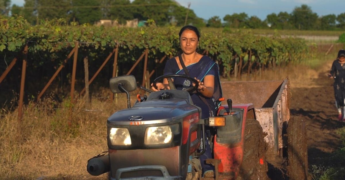 sahyadri farms grape farmer success story Nashik grapes inspiring