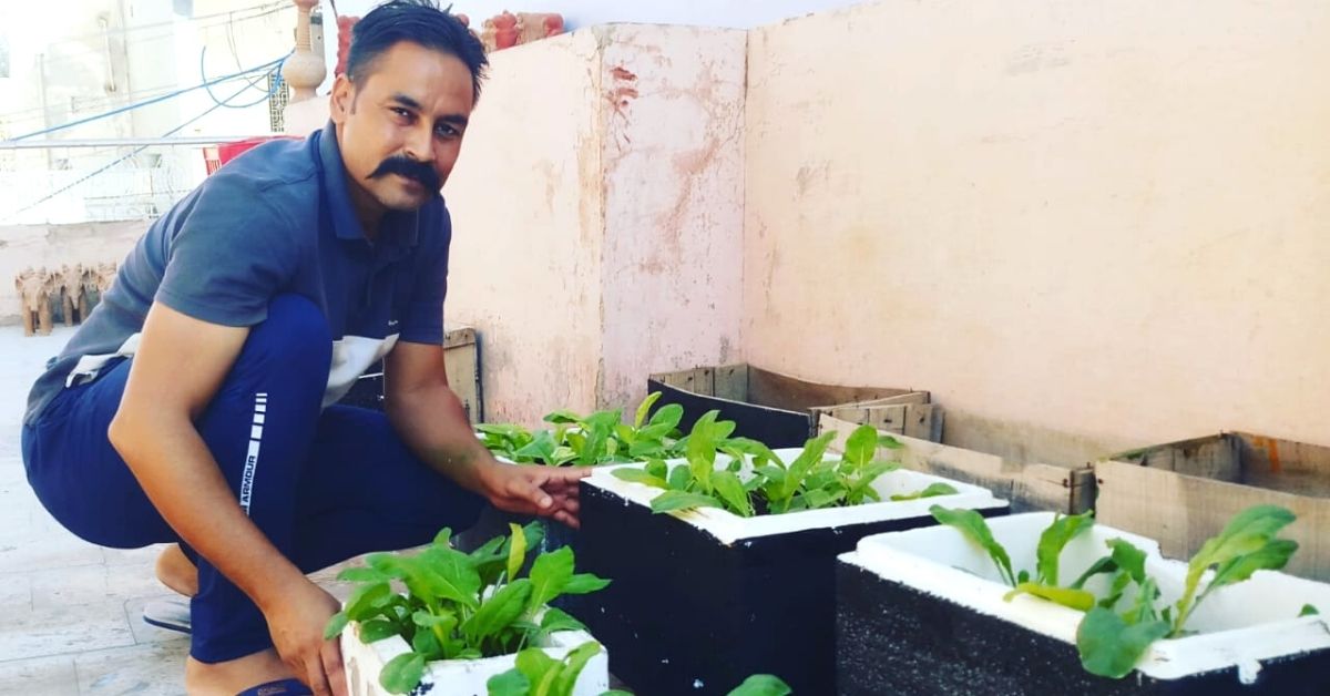 Man Uses Lockdown to Grow 150+ Veggies & Fruits in Terrace, Saves Rs 1500/Month
