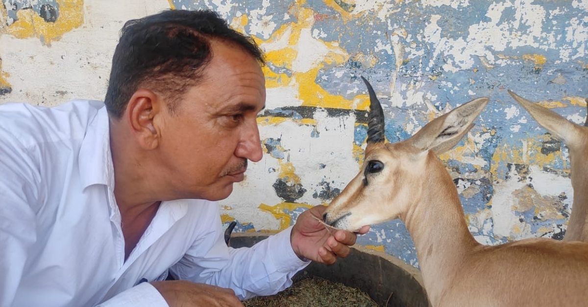 Saving 10,000 Blackbucks