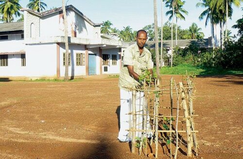 kerala jackfruit kr jayan