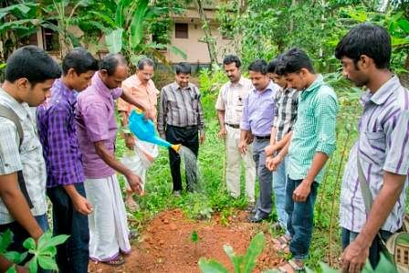 jackfruit kerala kr jayan