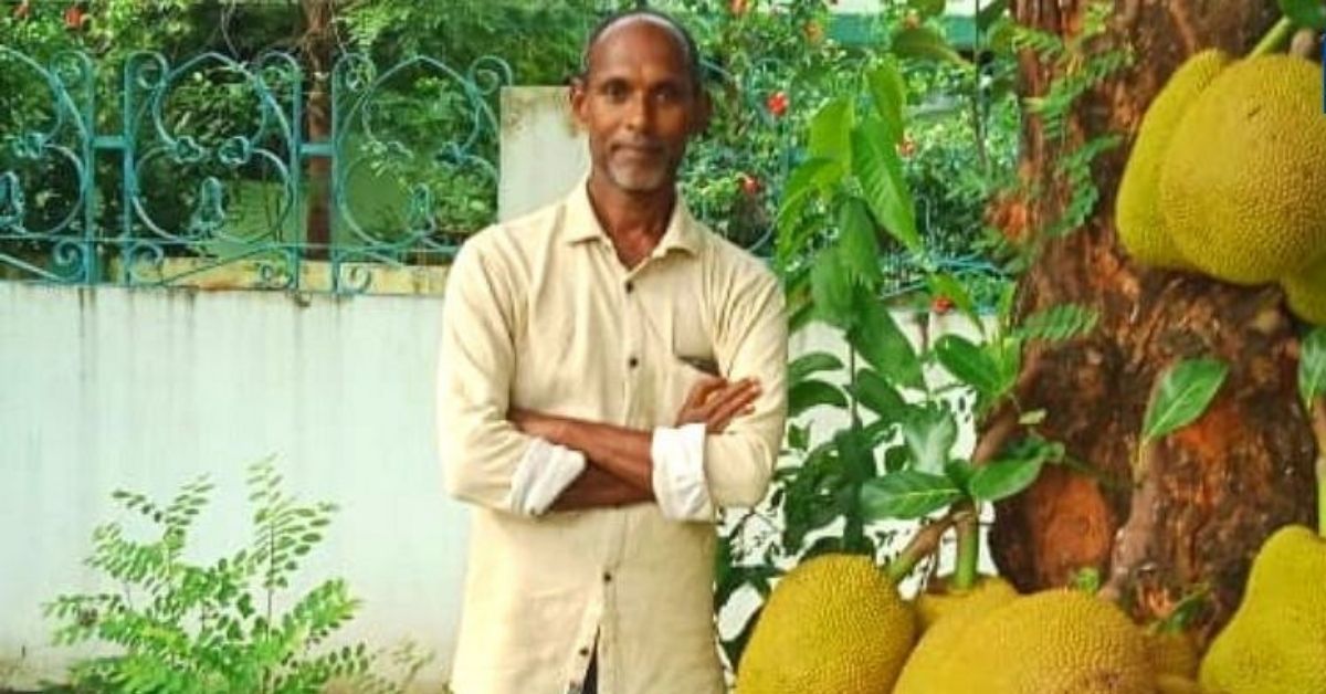 Without Owning Land, Kerala Man Sets Up ‘Jackfruit Villages’ With 20,000 Trees