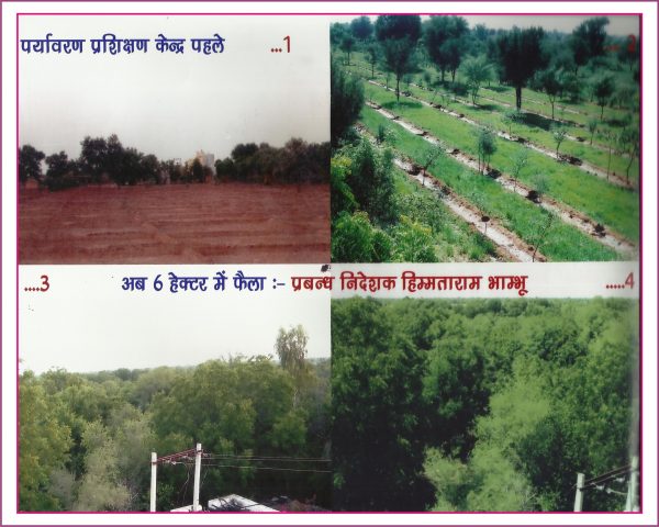 before and after image of land where Himmatram planted trees