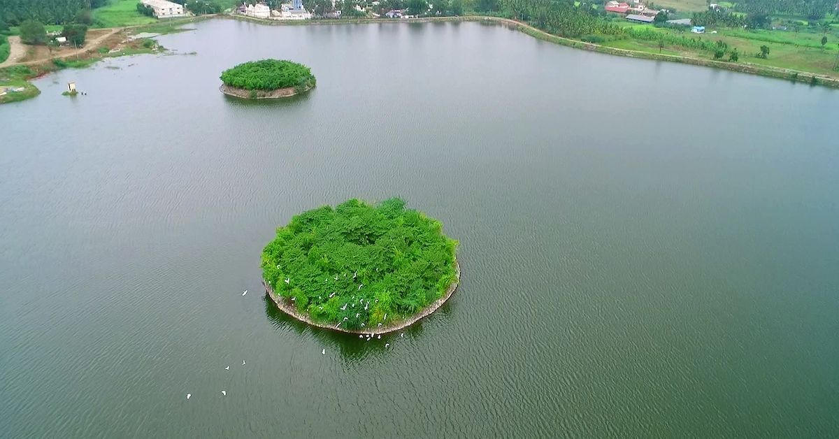 Andipalayam lake drought free VETRY