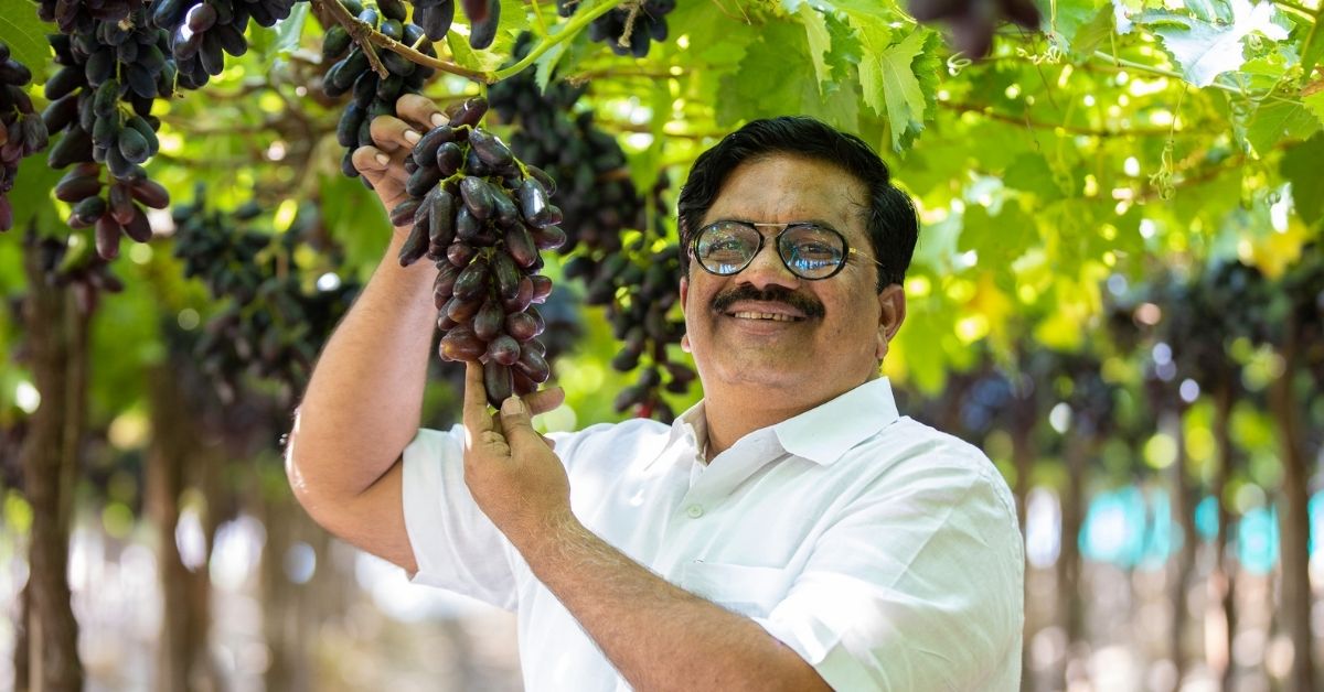 Award-Winning Farmer Develops Elongated ‘King Berry’ Grape That Sells for Rs 80/KG