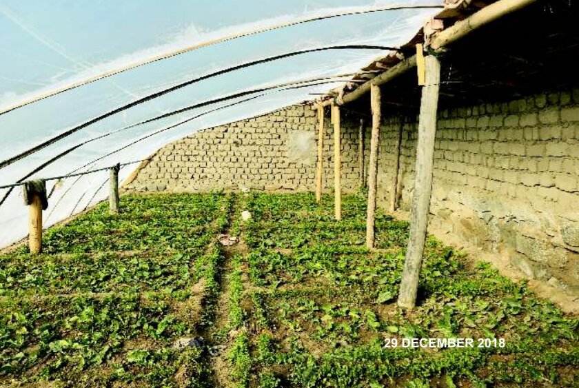 Passive Solar Greenhouse