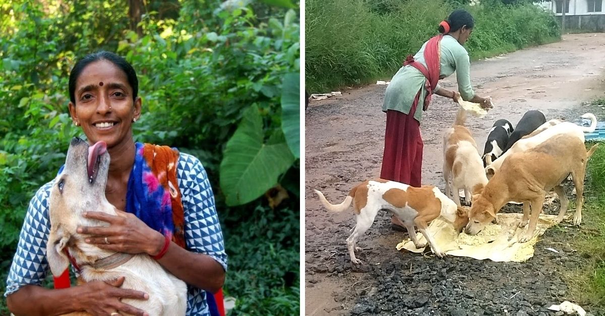 Unsung Hero: Domestic Help Feeds 800 Stray Dogs Daily, Climbs Down Wells to Rescue Them