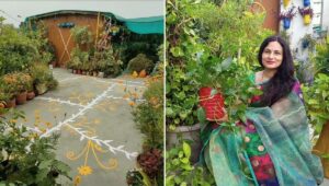 Sustainable Homes: Inside a Green Oasis In the Polluted Heart of Delhi