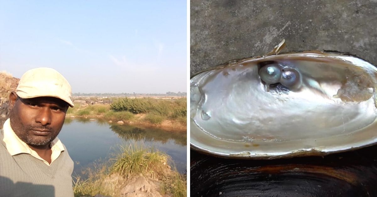 Despite Theft & Vandalism, Dedicated Farmer Grows Pearls To Earn Rs 22 Lakh/Year