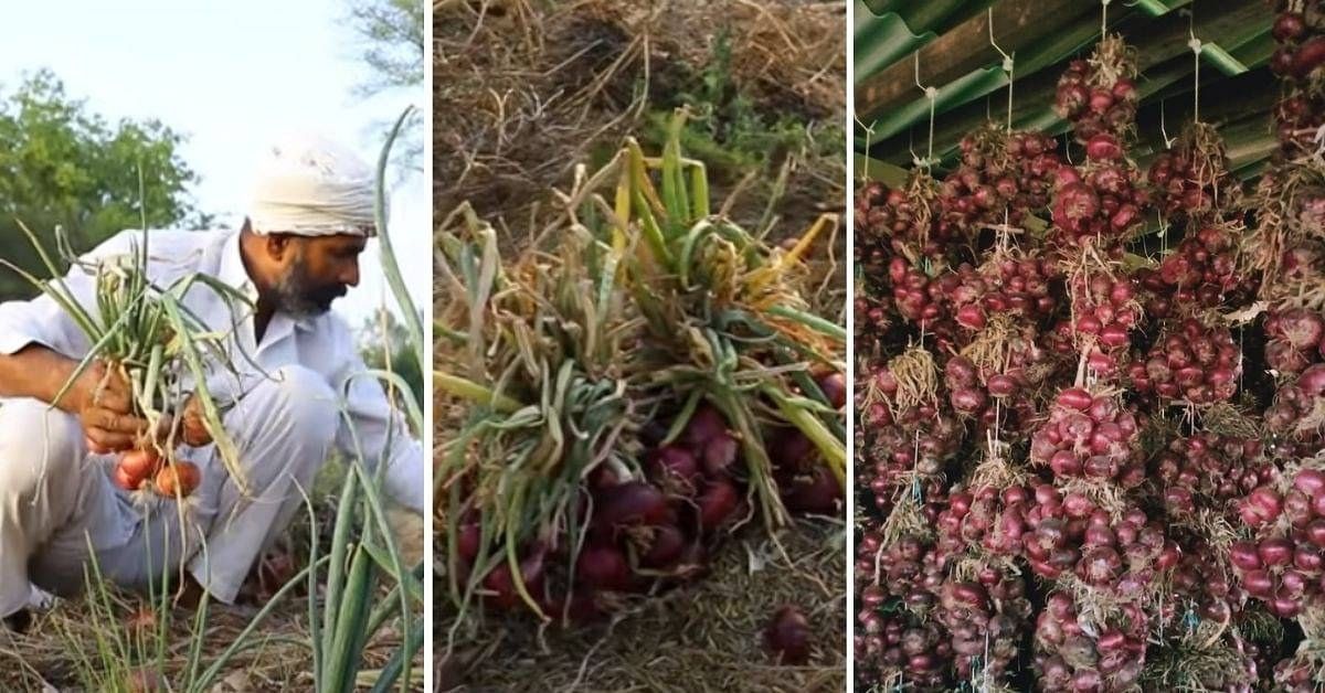 Farmer’s ‘Jugaad’ Innovations Extends Shelf-Life of Organic Onions by 3 Months