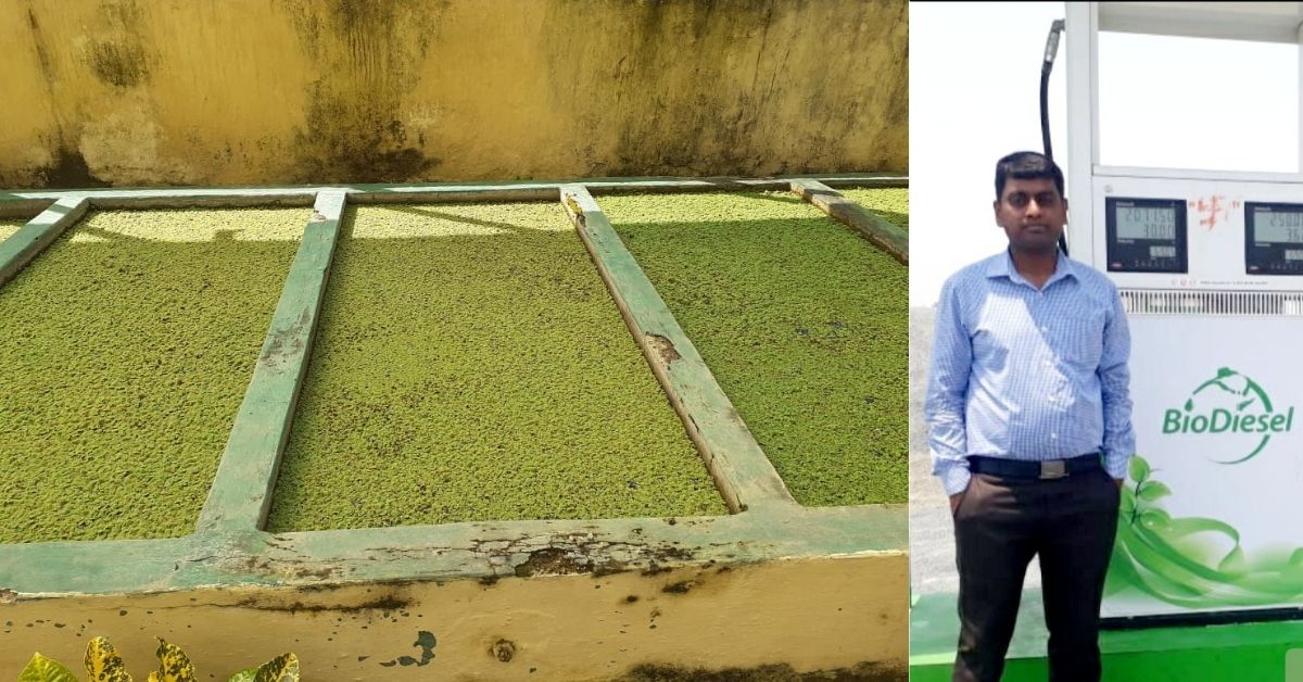 Engineer Innovates Algae-Based Biofuel That’s Cheaper Than Petrol by Rs 27/Litre