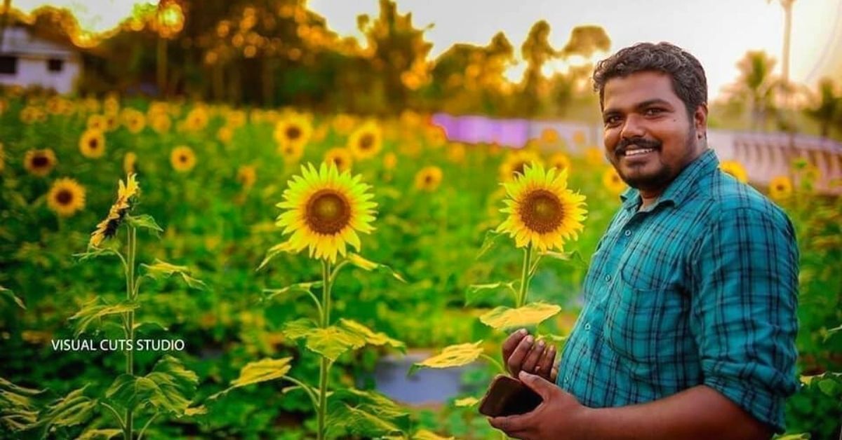 A 'field of her dreams': Man plants thousands of sunflowers to