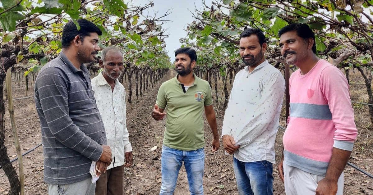 From 18 to 100 Tonnes of Grapes: How an Initiative Helped this Nashik Farmer Succeed