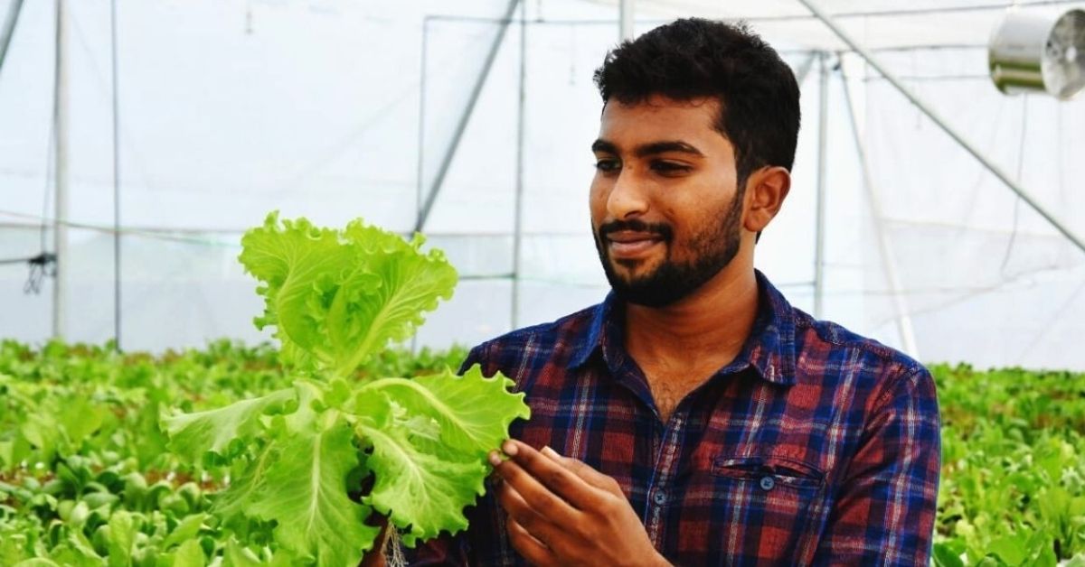 How Hydroponics Farming Helped Me Earn Rs 54K/Month Right Out Of College