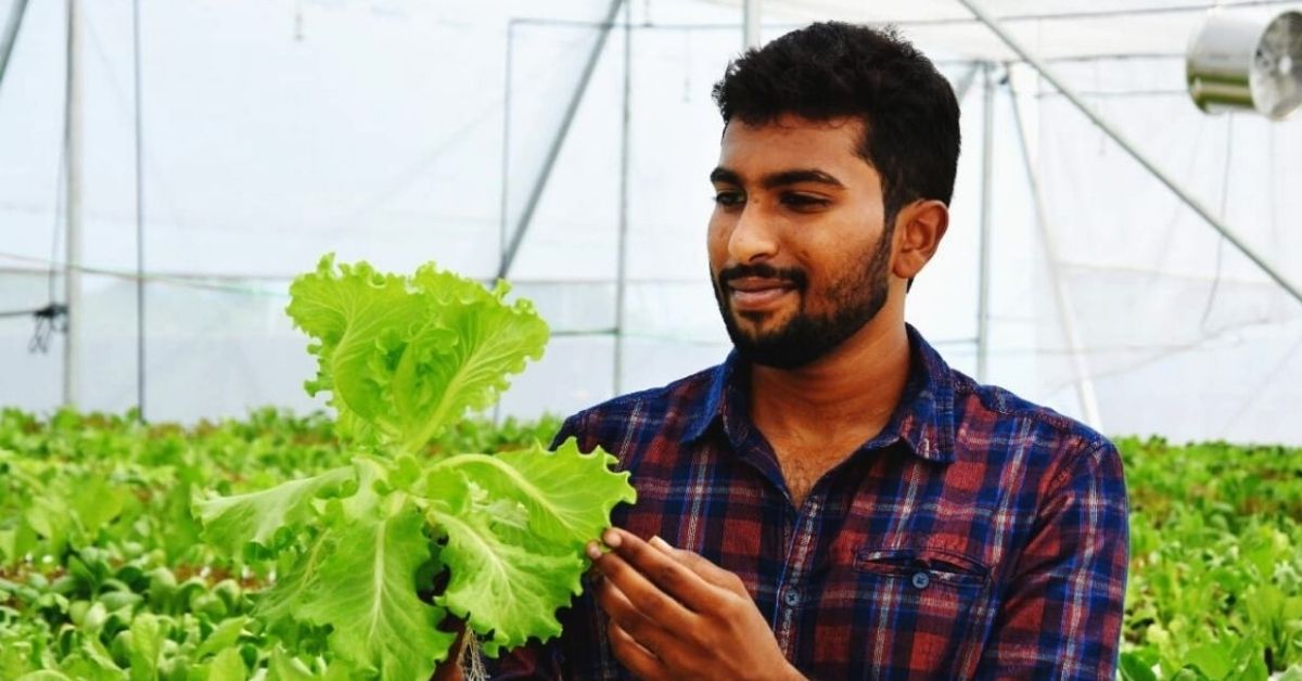 hydroponics farmer earns lakhs