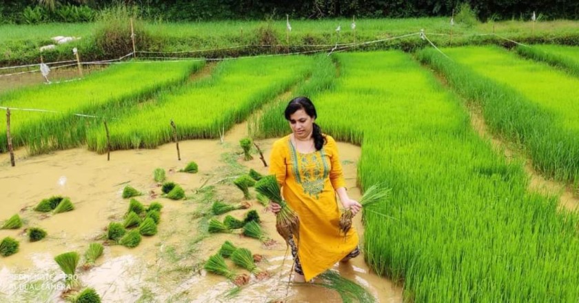 A Simple Switch in the Farm Is Helping Kerala Farmer Earn Rs 30 Lakh/Year