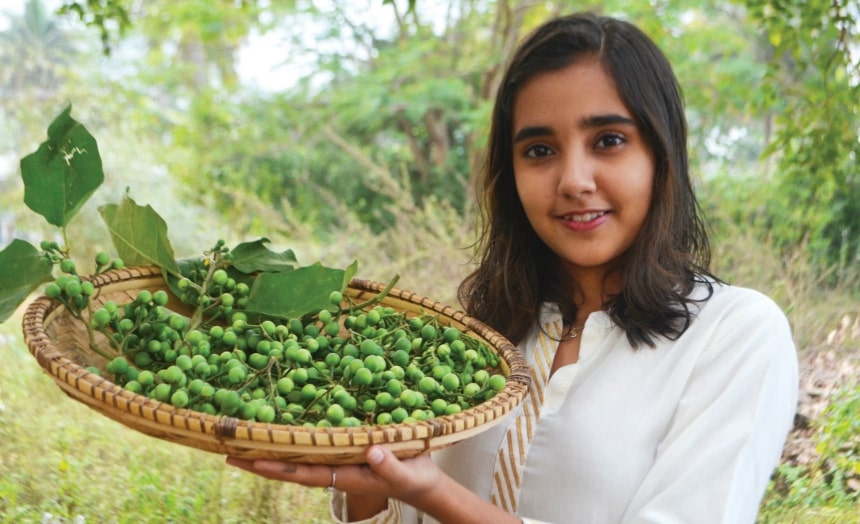 desi superfood seeds