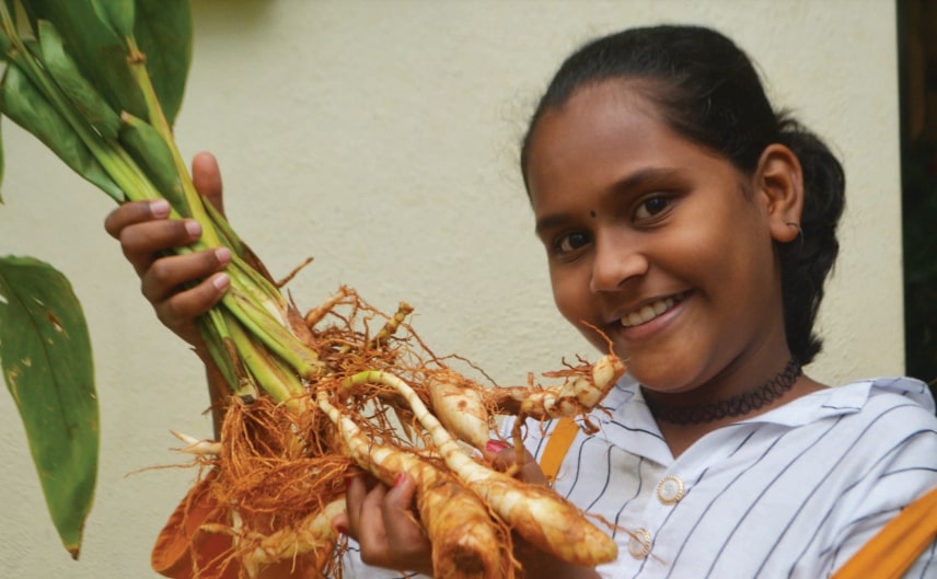 desi superfood roots