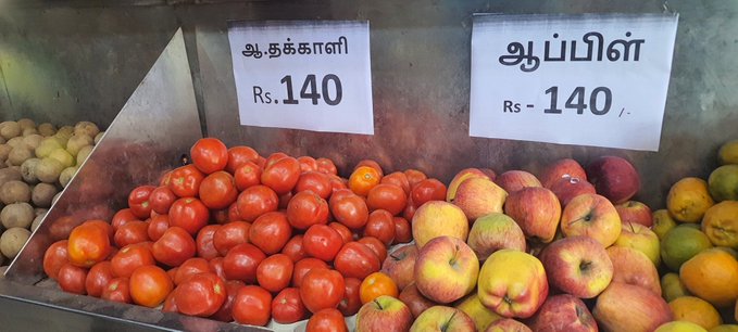  Prix de la tomate