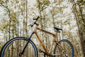 Asif Khan, who runs NGO Naturescape in Chhattisgarh, has built Bambooka, an eco-friendly bambook bicycle that utilises traditional handicraft skills and aims to generate livelihood among the tribal community.