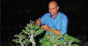 Businessman's Love For Bonsai Creates Nursery With 1K Plants, Rs 50L/Year Earnings