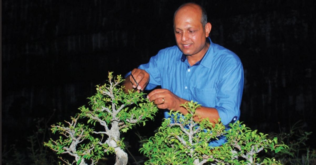 Businessman’s Love For Bonsai Creates Nursery With 1K Plants, Rs 50L/Year Earnings