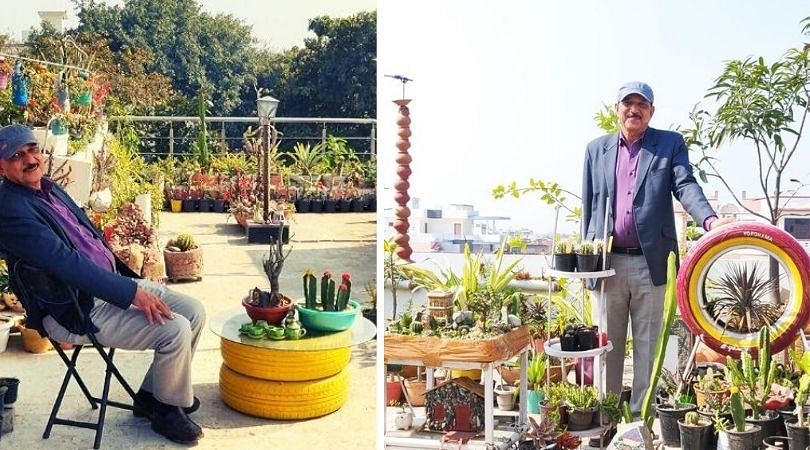 Rajendra Singh from Sonepat, Haryana on his terrace garden