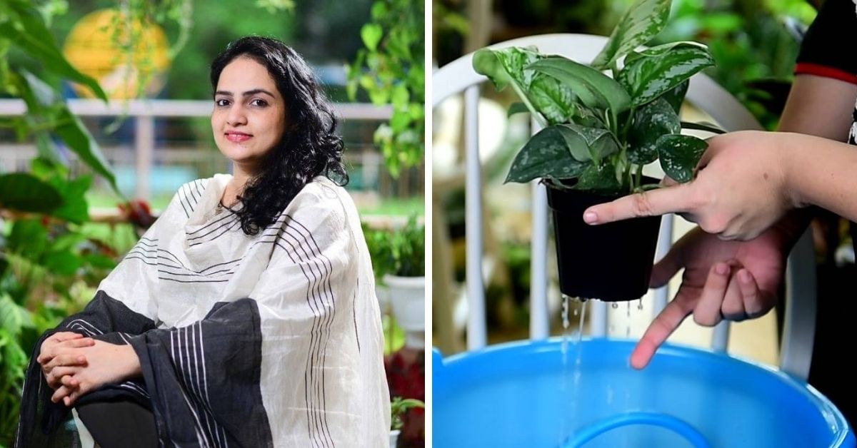 How to Water Plants When You Are on Vacation? Gardening Tips From Expert