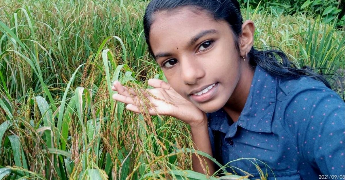Banupriya, 13-year-old from Alapuzha, Kerala, cultivated Rakthashali rice, a rare rice variety with medicinal benefits, jointly with her father.