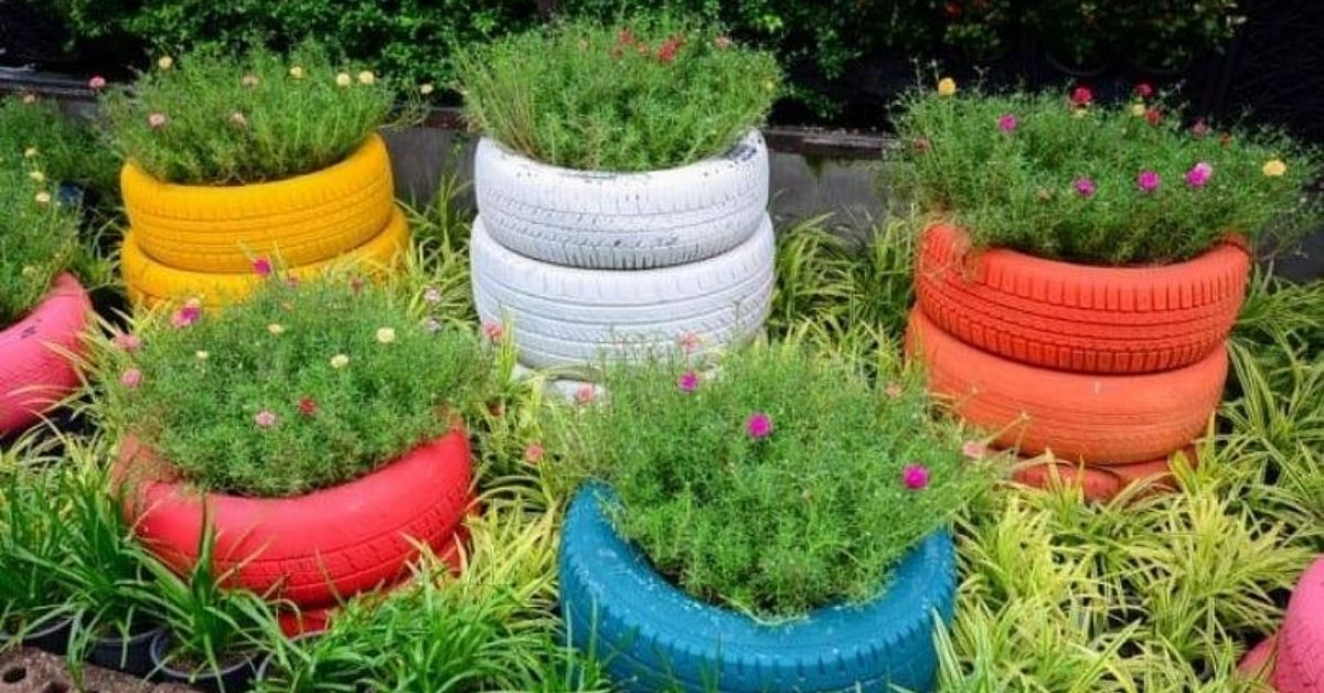 Planters made out of worn-out tyres.