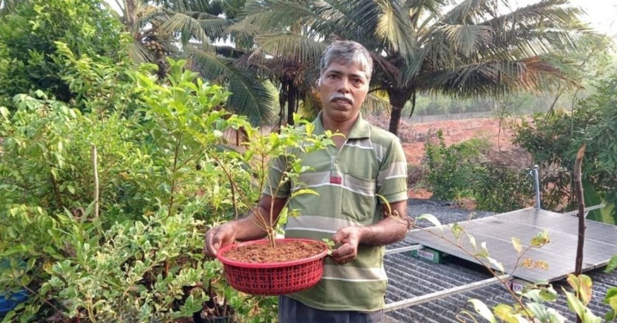 Farmer Uses Low-Cost Hydroponics to Grow Jasmine & Chikoo on His Terrace
