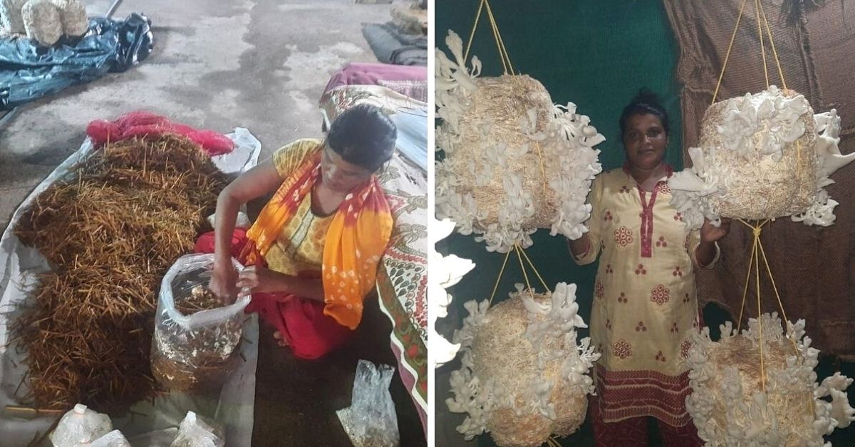 Gujarat Homemaker Went From Growing Mushrooms in 1 Room to Earning Rs 3.5 Lakh/Month