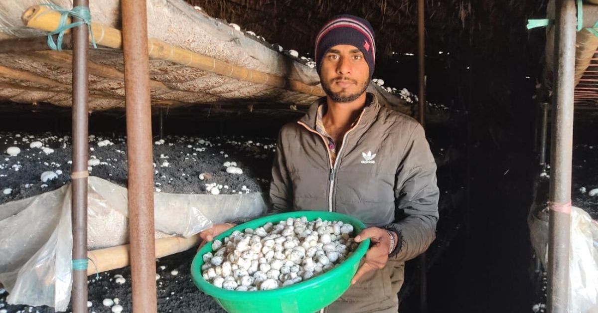 Vedanta mushroom farming success