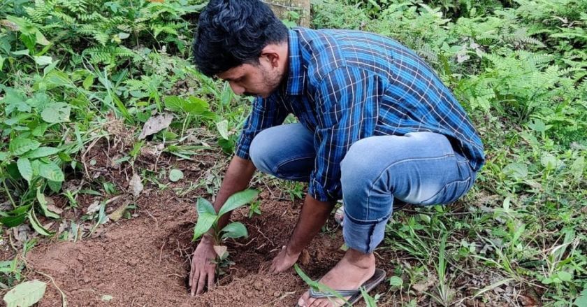 A volunteer plants a sapling at an event hosted by Tree Tag