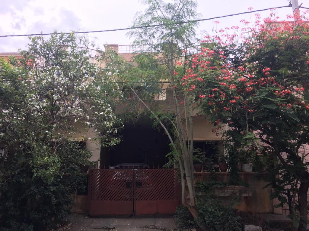 A house with various flowers and trees. 