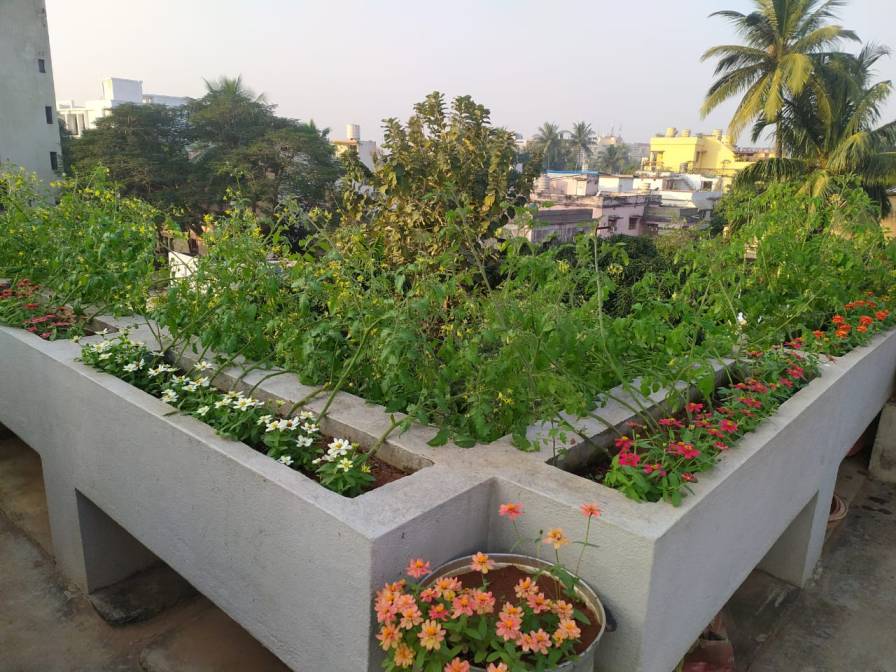 A look at the terrace garden 