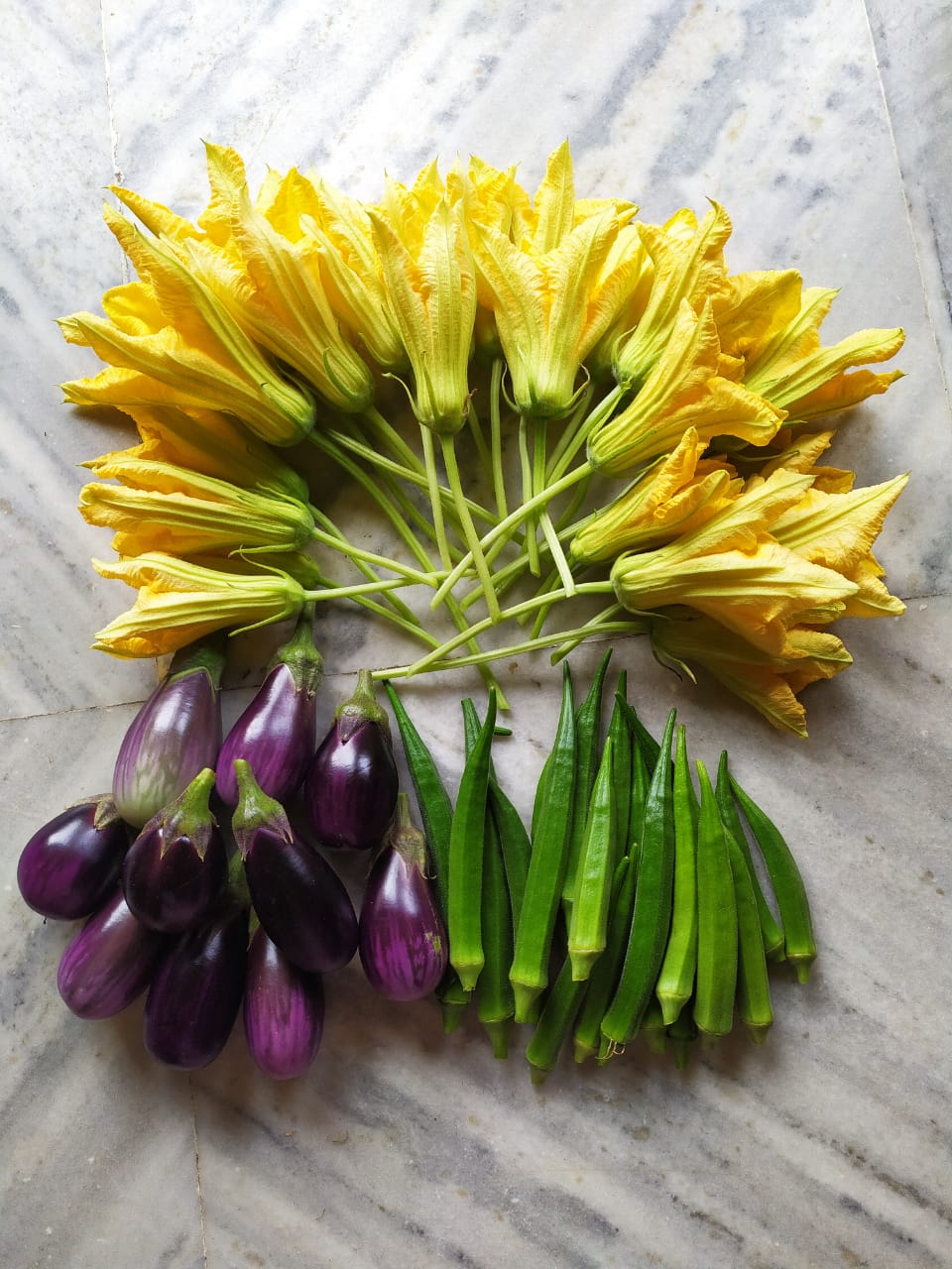 Some brinjal, lady's finger and flowers from the terrace garden. 