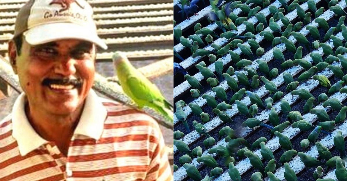 Watch: ‘Birdman’ Uses Own Savings To Feed More Than 8,000 Parakeets Every Day