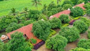 Not One Tree Was Cut by This Farmer to Build a Beautiful Resort in Gir Forest