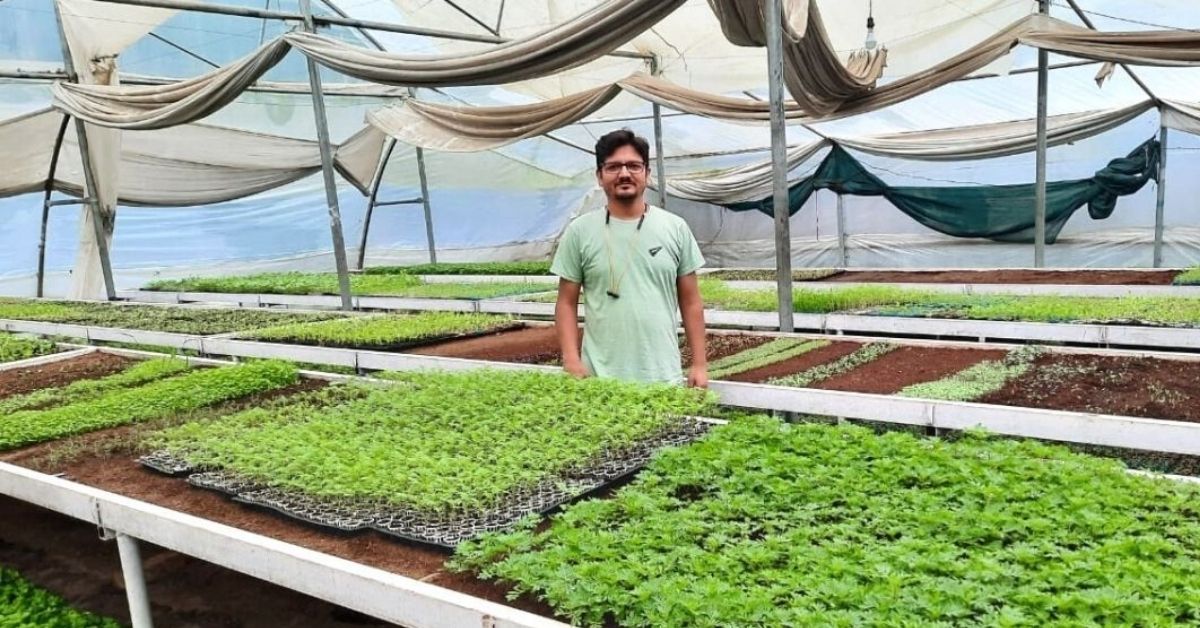 He Quit The Corporate Rut To Run A Nursery In The Hills, Now Earns Rs 30L/Yr
