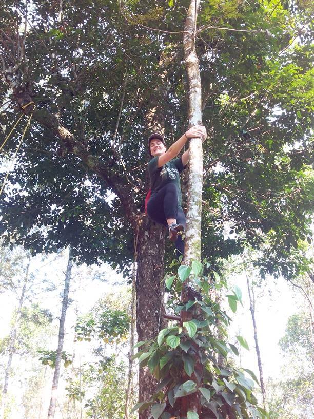 A lady climbing a tree