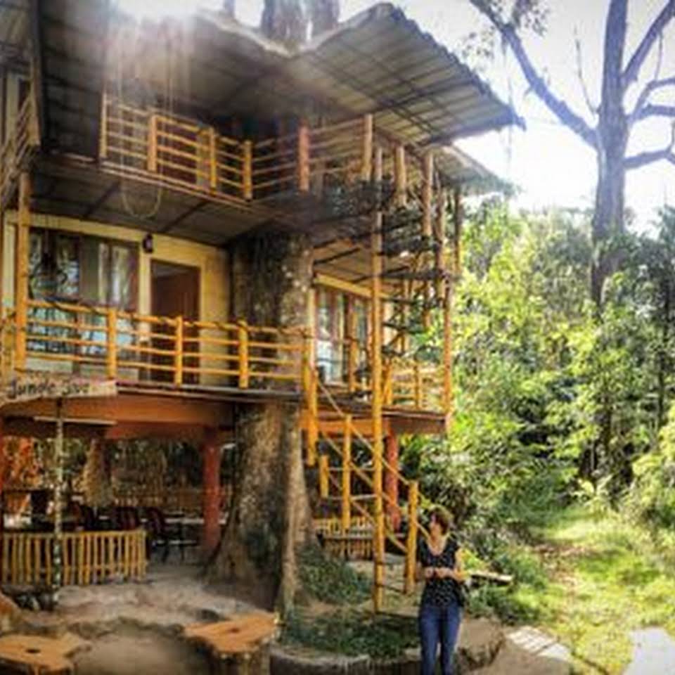 A treehouse in Munnar
