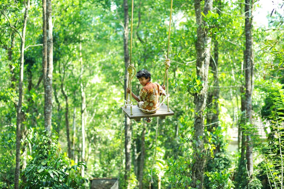 A swing near the treehouse