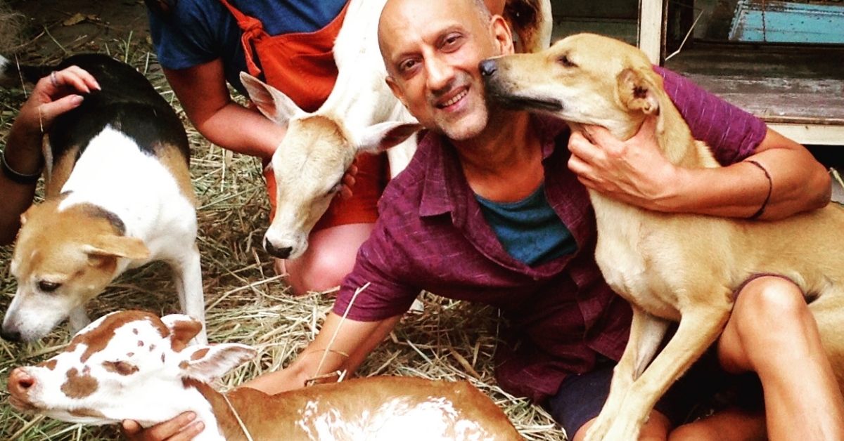 Over 15000 Wounded Animals Have Been Rescued by This Heroic Businessman