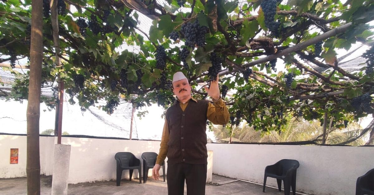 Man Turns Terrace In City Home Into a Lush Vineyard, Harvests 250 Kilos of Grapes