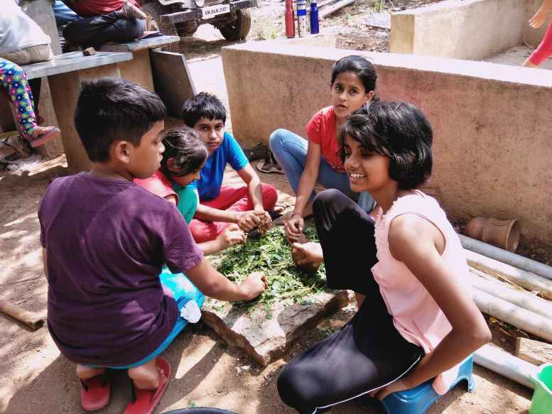 A group of children making biopesticides at the farmstay