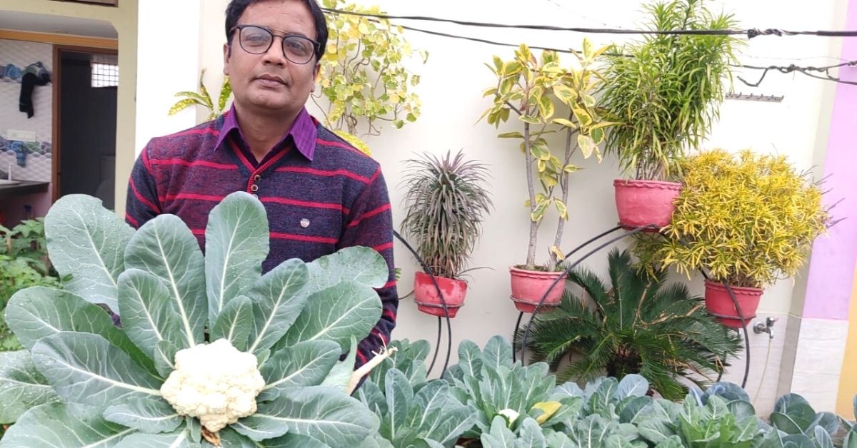 Gardening Tips From the Man Who Harvests 100 Kgs of Vegetables in Just 1 Week