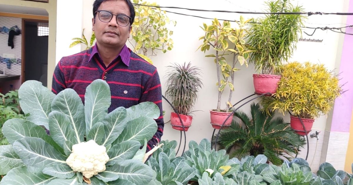 Gardening Tips From the Man Who Harvests 100 Kgs of Vegetables in Just ...