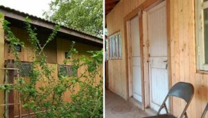 Engineer Leaves City Behind, Builds Eco-Friendly Home in Village for Just Rs 2 Lakh