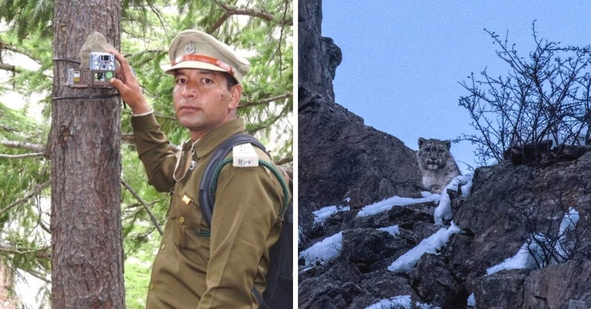 Determined Forest Officer Inspires Lahaul’s Villages to Protect Snow Leopards